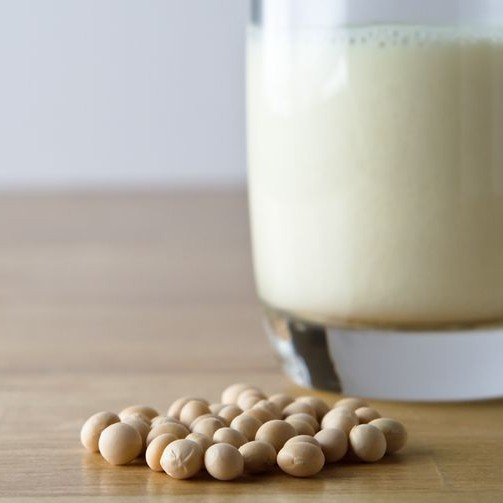 soy milk - milk replacement soy milk - milk replacement