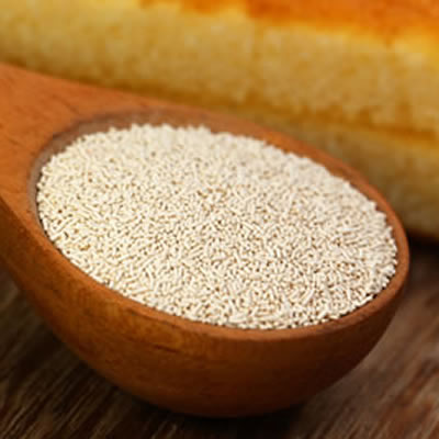 dry yeast