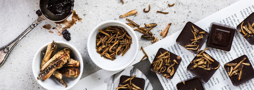 Can Crickets be used in Baked Goods?