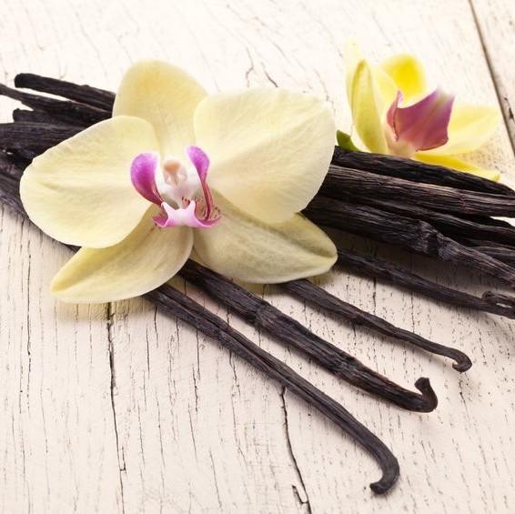 Vanilla: The Politics of Flavor