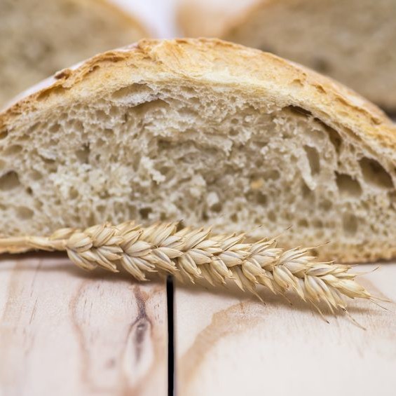 Baking Highly Nutritious Bread