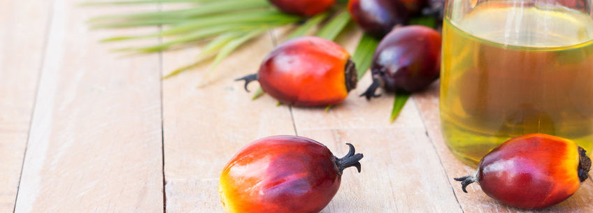 The Versatility of Palm Oil