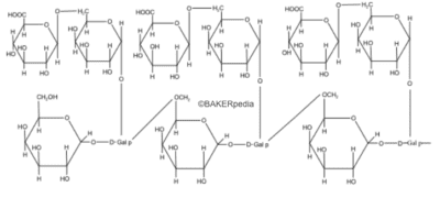 Chemical structure of Acacia Gum.