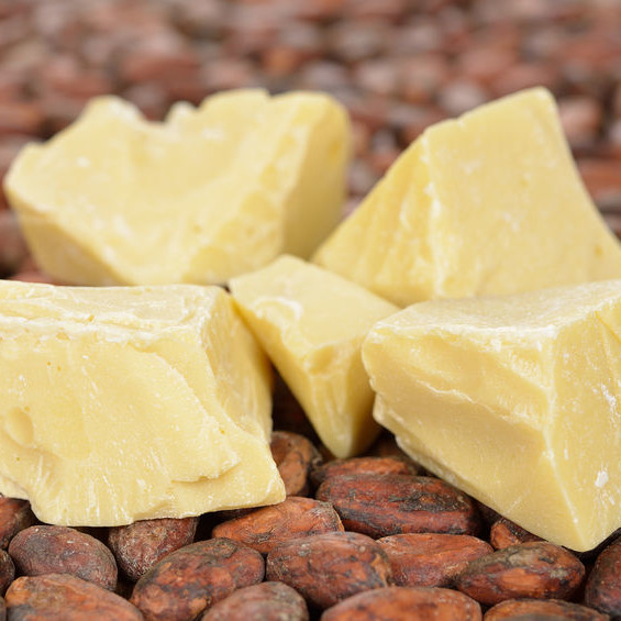 Cocoa butter Cocoa butter is a saturated fat obtained from cocoa tree beans.