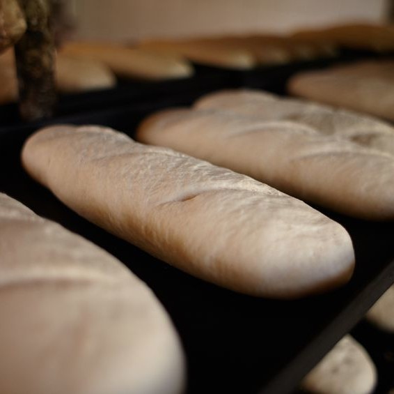 DATEM replacement A DATEM replacement gives similar results such as improved loaf volume, fine crumb structure, and dough extensibility.