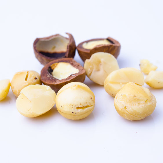 Macadamia nut Macadamias are delicate nuts that are tasty on their own or as a premium ingredient in food products.