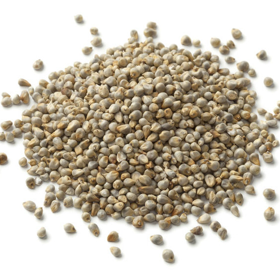 Millet Millet seeds can be milled into flour and used to make various bakery products.