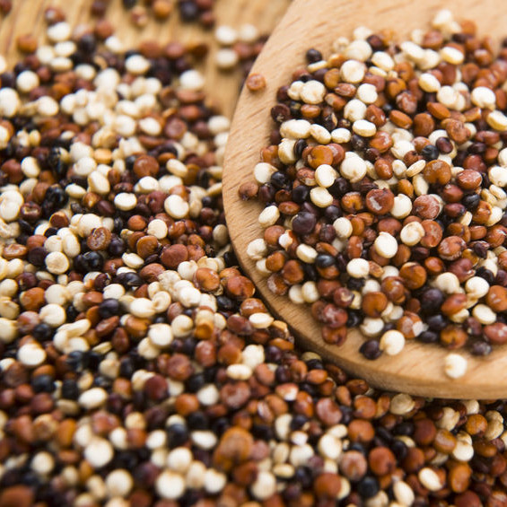 Ancient grains Ancient grains is an umbrella term for grains and pseudocereals not bred or genetically manipulated for many centuries.