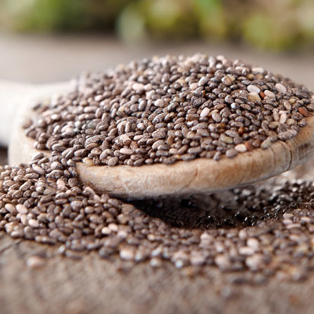 chia Chia seeds, flour, oil and mucilage can be used in food and bakery products to improve their nutritional value.