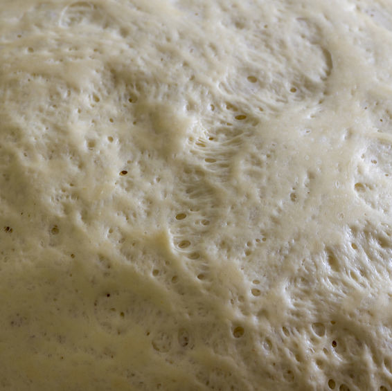 final proof The final proof is a continuation of yeast fermentation, which allows the molded dough piece to relax and expand.