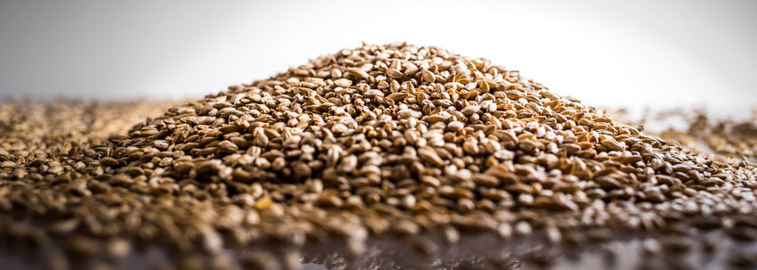 Why You Should Bake with Ancient Grains