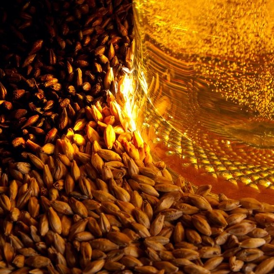 Distillers Grain Bread Baking Processes BAKERpedia