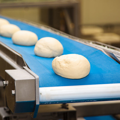 dough moulding Dough moulding is the final step of the makeup stage in high-speed production of pan or loaf-type bread.