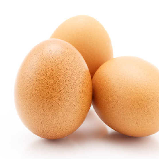 Egg The egg is a very nutritive food source used in baking for a variety of functions.