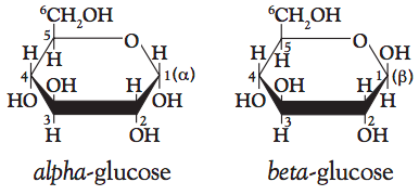 Starch is made up of linear and branched polymers of D-glucose.