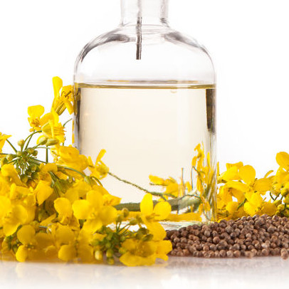 Canola Oil Canola oil is one of the most important vegetable oils in food production.