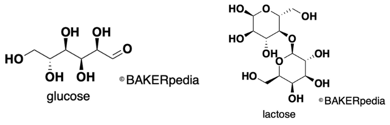 Structure of glucose and lactose, typical reducing sugars.