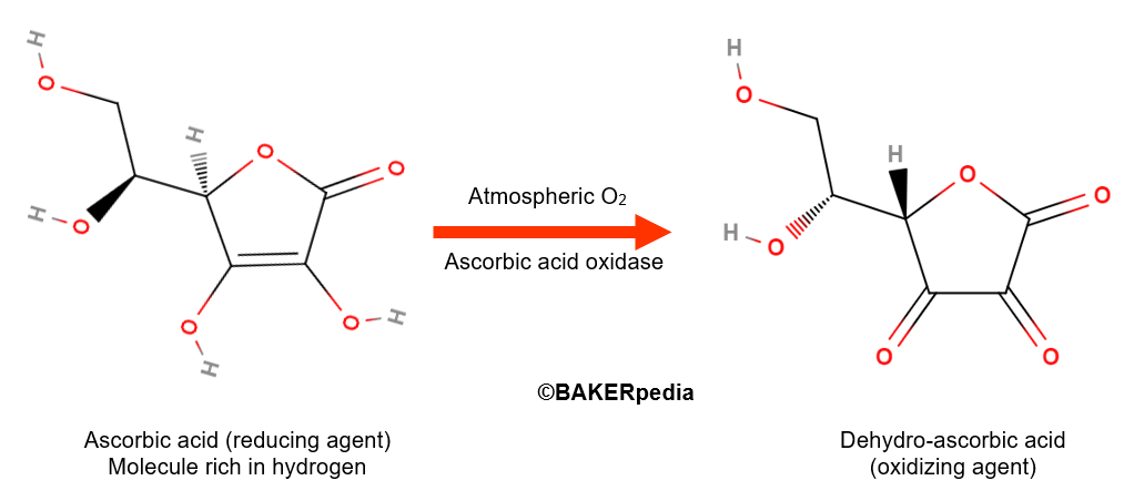 Ascorbic acid, also known as vitamin C, is an essential nutrient found in citrus fruits and many vegetables.