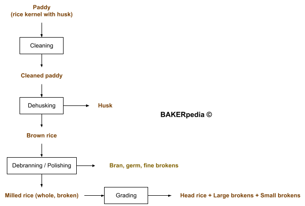 Process flow diagram for dry rice flour milling.