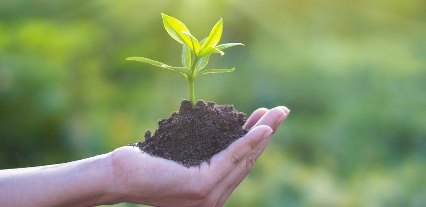 Baking for a Sustainable Future