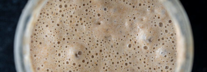 The Technology of Sourdough Starters