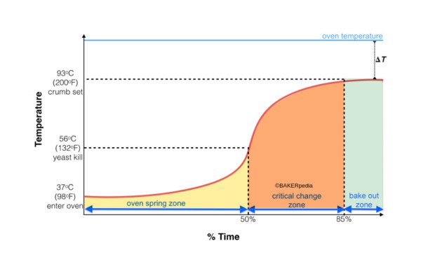 Thermal Profiling for Baking