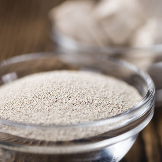 Osmotolerant yeast osmotolerant yeast