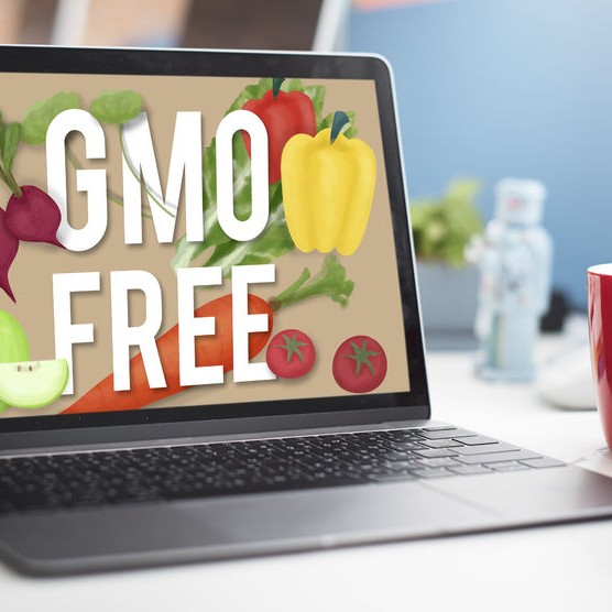 Are You a Baker Looking to Bake GMO Free?