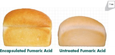 Loaves_0-sorbic acid