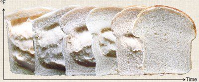 Bread slices illustrating the time/temperature S-Curve, showing the importance of a thermal profile.